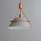 Maxim Lighting Lucas 1-Light Pendant, Natural Aged Brass 25221LFGNAB - alternate 3